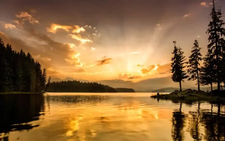 Lorem ipsum dolor sit amet